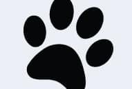 animal_appetite_feature