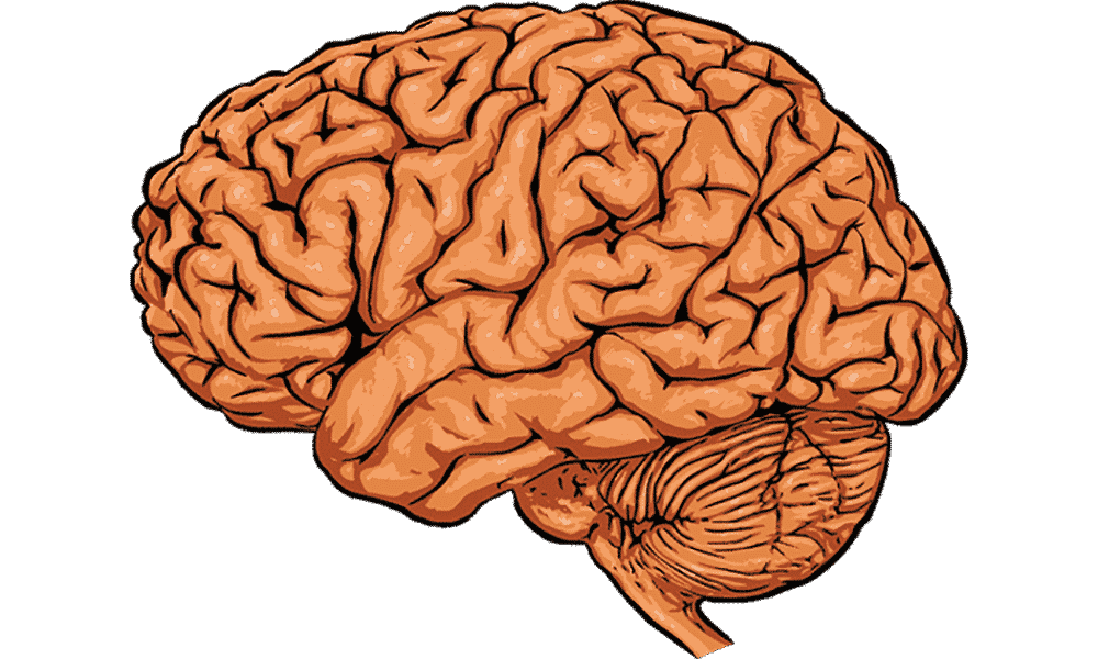 The Dying Brain – Part 2