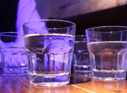 Protein in the brain can put the brakes on binge drinking