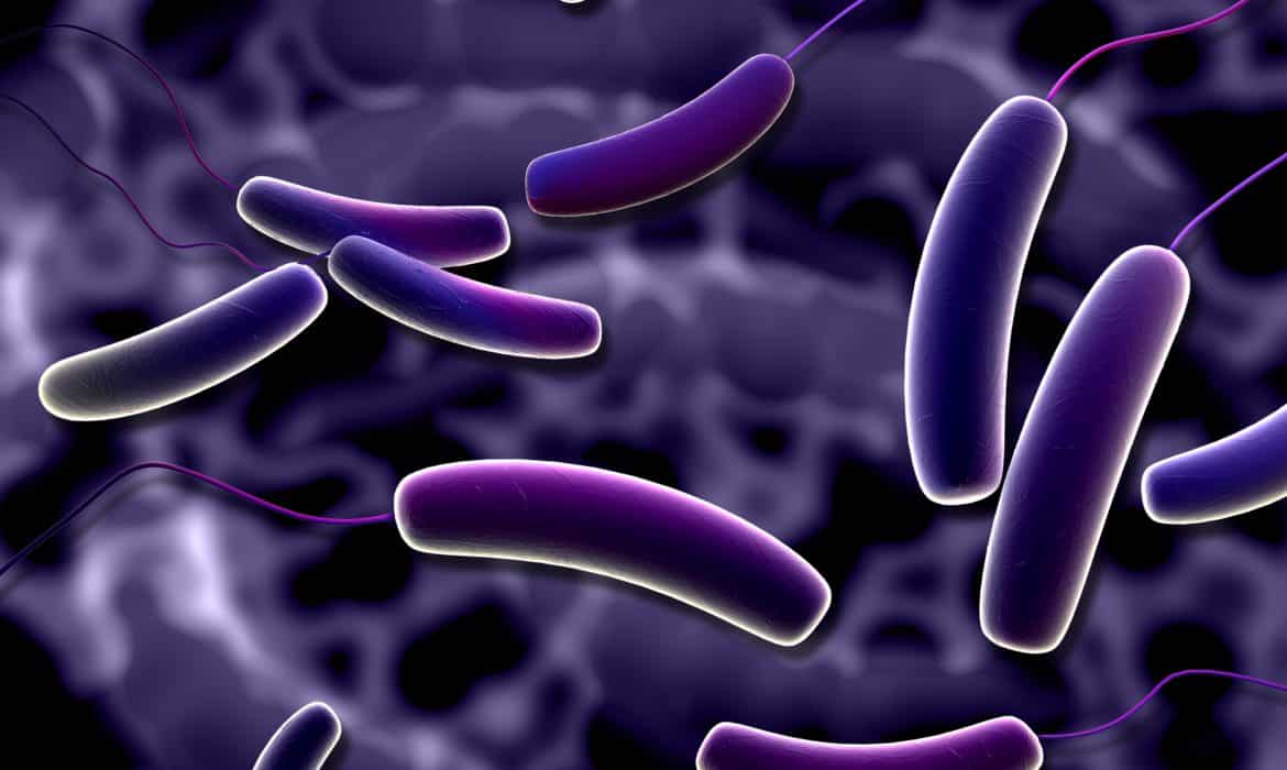 Probiotic supplements boost gut-friendly microbes