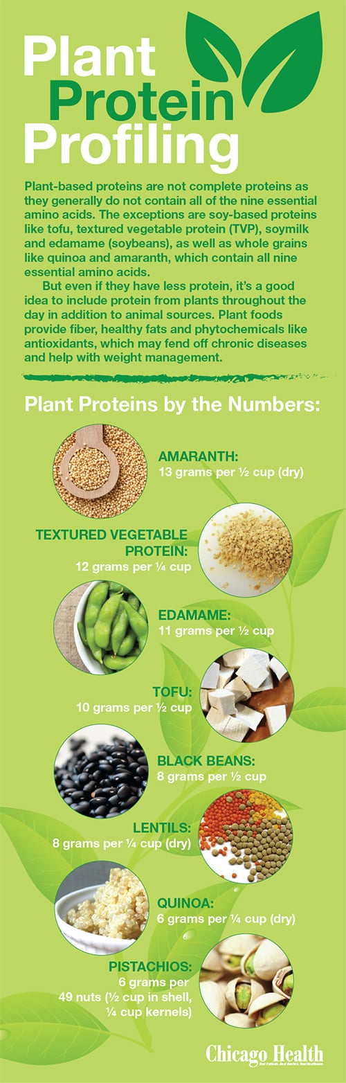 Plant Protein Profiling Infographic