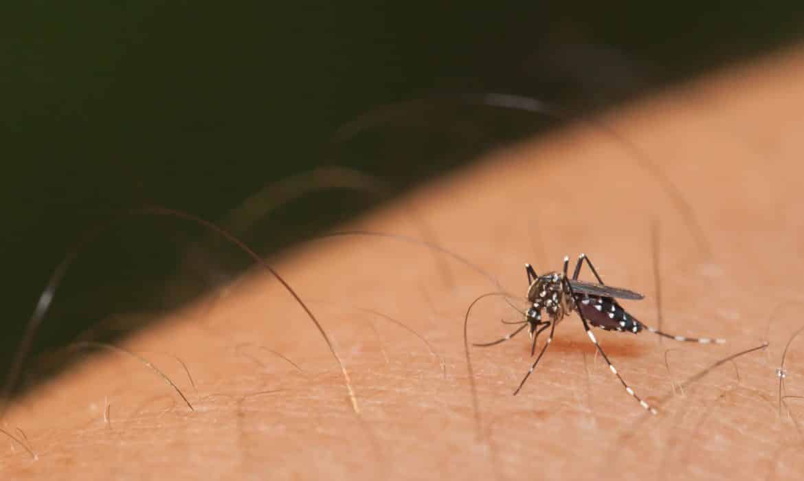 What you need to know about Zika virus