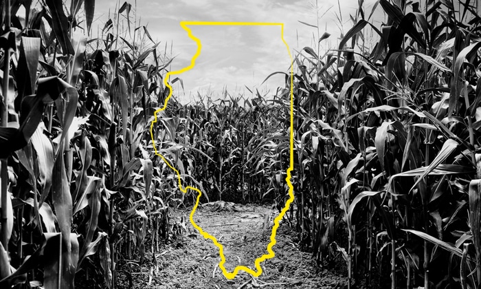 Illinois cornfields