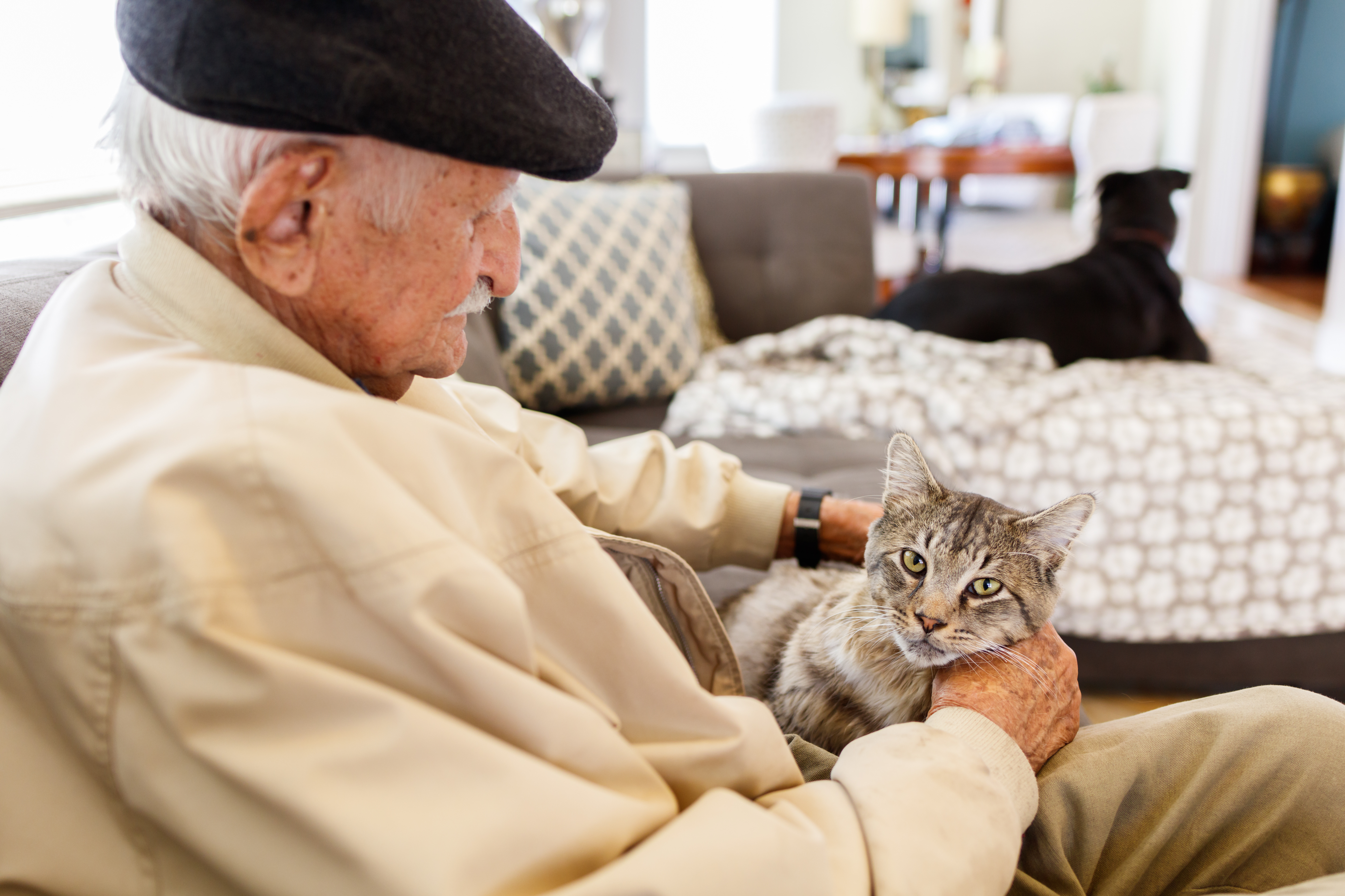 How To Help Dementia Patients At Home