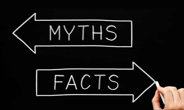 myth or fact on chalkboard