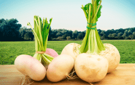 The healthiest fall vegetables you’re not eating