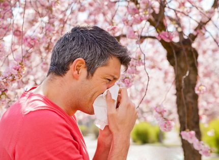 Start treatment now to prevent spring allergy symptoms