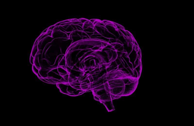 Depression: Computerized image of the brain, purple on black