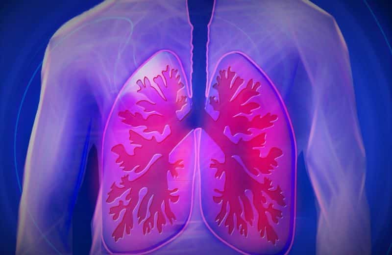 Slowing lung scarring when you have pulmonary fibrosis: animated image of healthy lungs