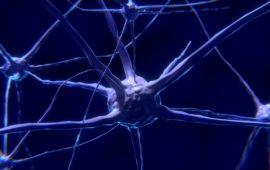 Researchers may have discovered a cause of multiple sclerosis