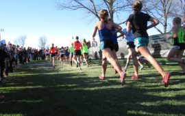 Step-by-Step: Emily Randazzo’s Chicago Marathon Training Diary