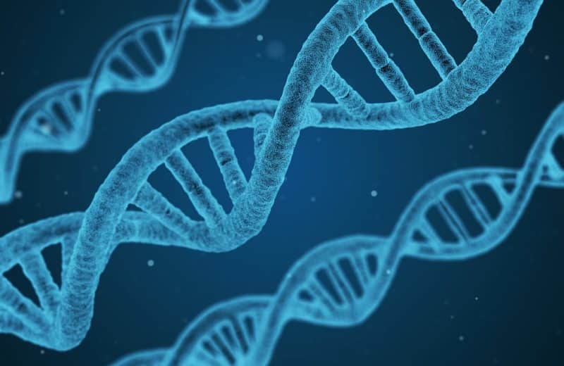 Genetic Test: Image of light blue DNA strand on darker blue background