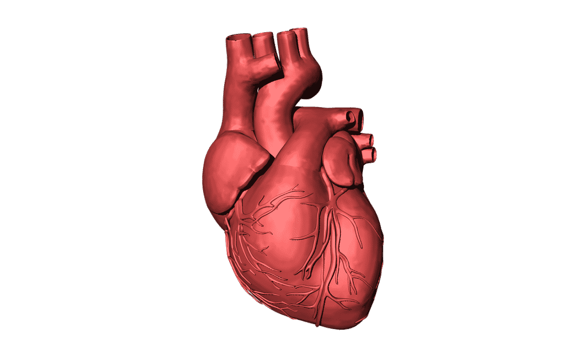 Heart scan can help some determine risk for heart disease