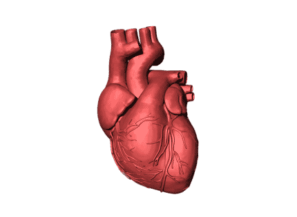 Heart scan can help some determine risk for heart disease