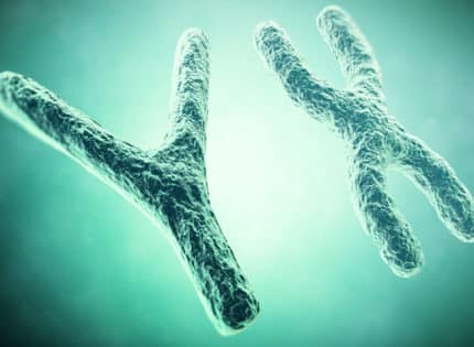 Can DNA Markers Called Telemores Predict Aging?