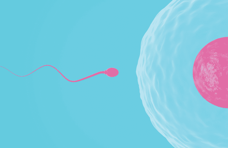 The decline in male sperm count and quality