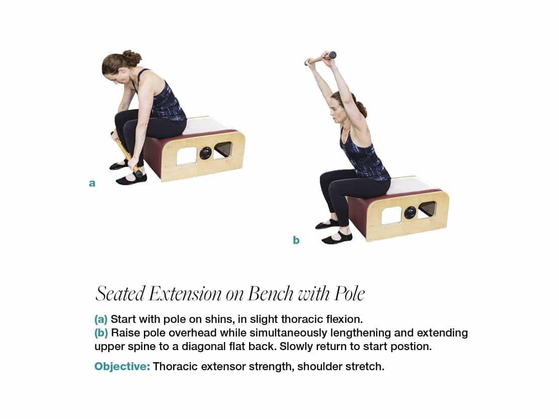 Seated extension on bench with pole
