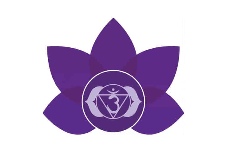 Muladhara chakra lotus