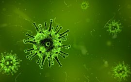 Six Viruses that Cause Cancer