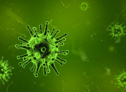 Six Viruses that Cause Cancer