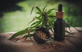 More Research Needed to Determine Effectiveness of CBD as Anxiety Treatment