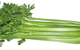Celebrate Celery!