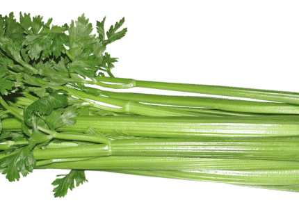 Celebrate Celery!