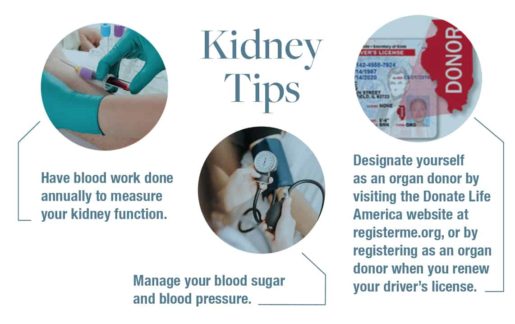 Kidney tips sidebar