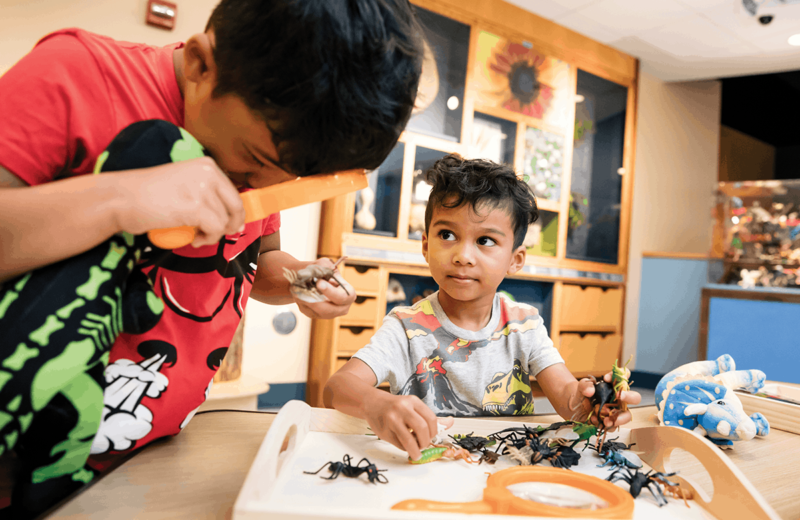 Sensory-Friendly Events - Chicago Health Online