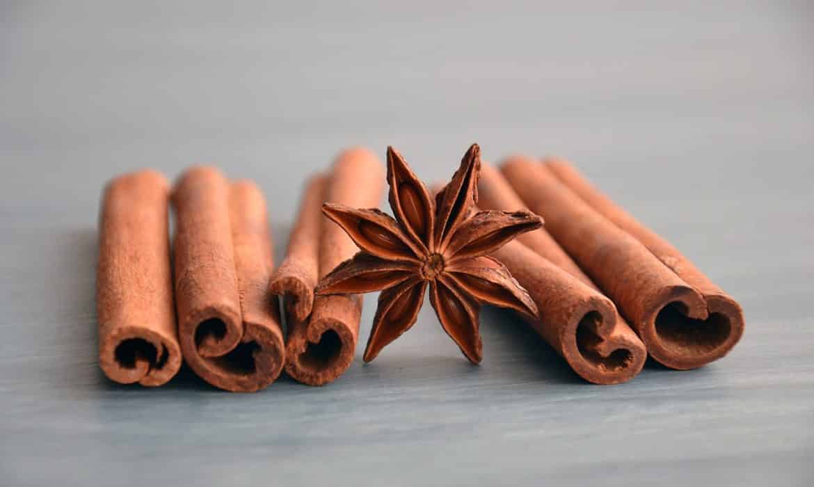 Spotlight on Supplements: Cinnamon
