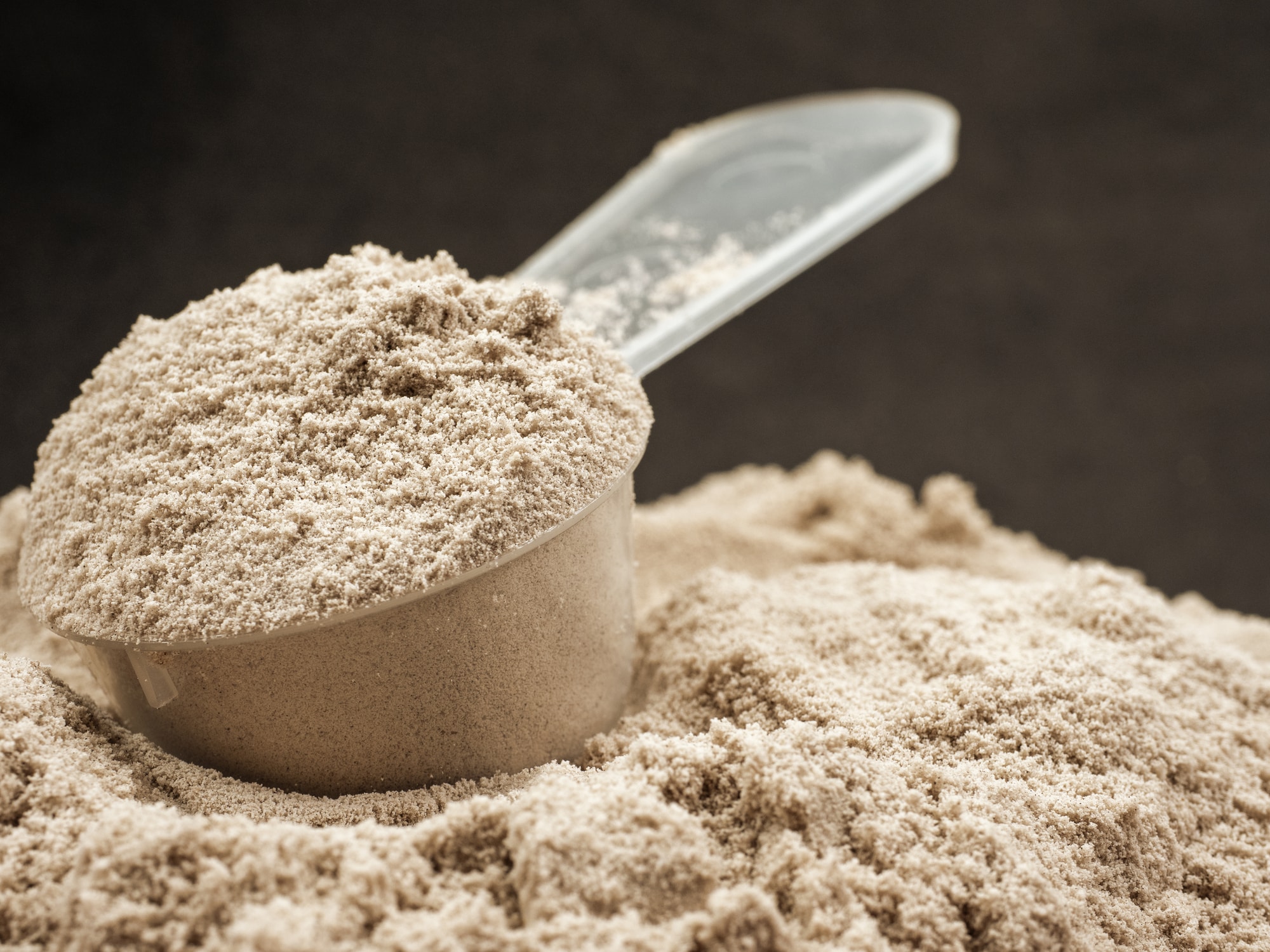 Get the Scoop on Protein Powders
