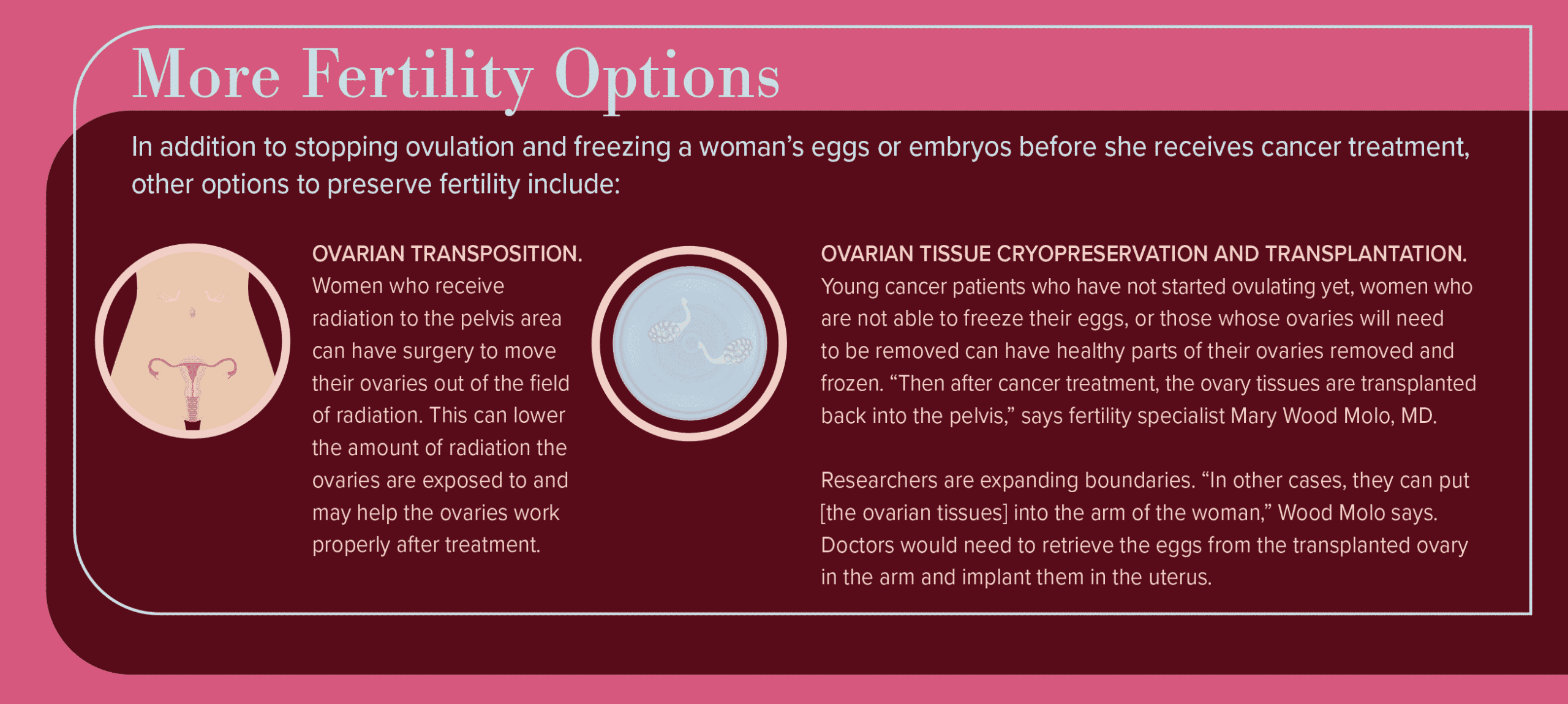 More Fertility Options Infographic