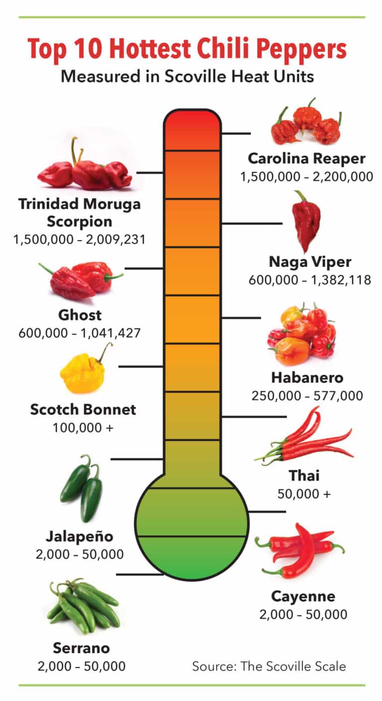 Hot Stuff: Pungent chili peppers provide health benefits