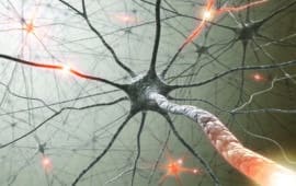 ‘Zombie’ Brain Cells Keep on Kicking After Death