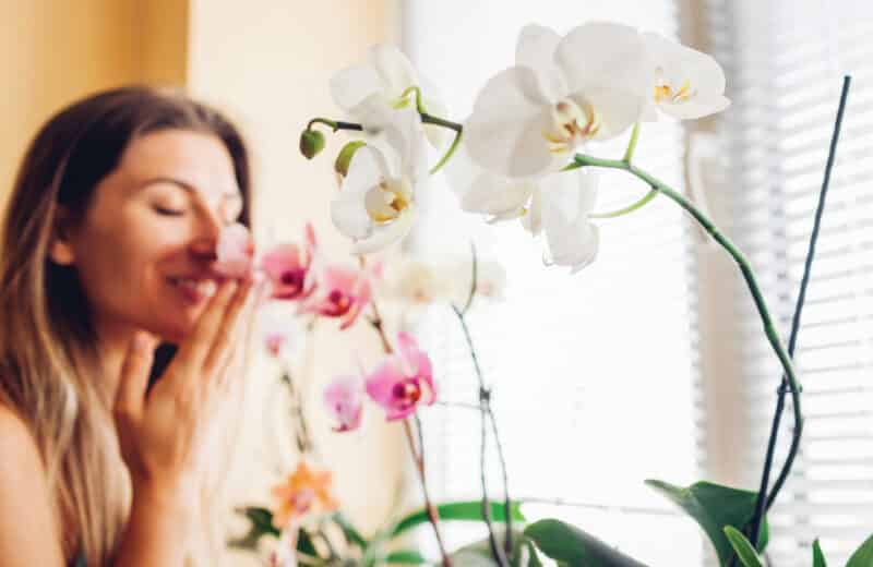 Woman smelling orchids, bringing nature inside concept