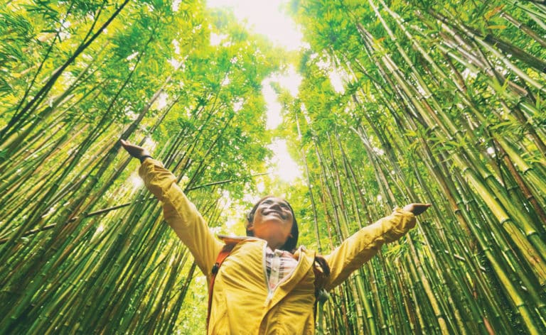 Woman walking through bamboo forest. Sustainability.