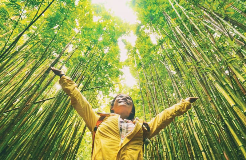 Woman walking through bamboo forest. Sustainability.