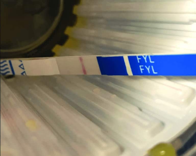 Fentanyl Test Strip