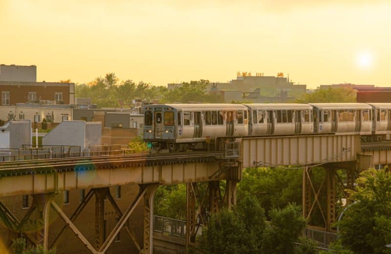 An elevated CTA train passes by trees in Chicago.
