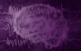 Navigating Epilepsy