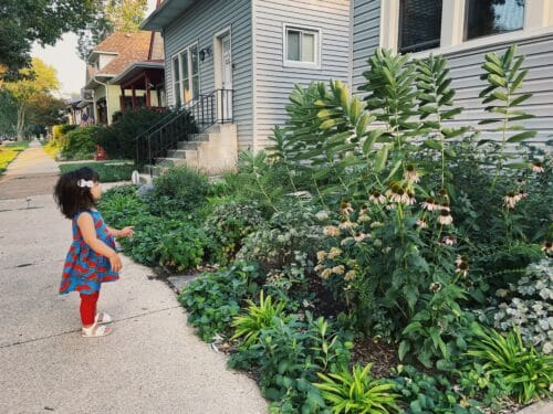 A little girl with black hair, a strawberry dress, and red pants stands in front of a native front yard on a Chicago street.