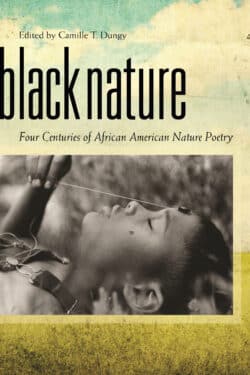 Black Nature book cover