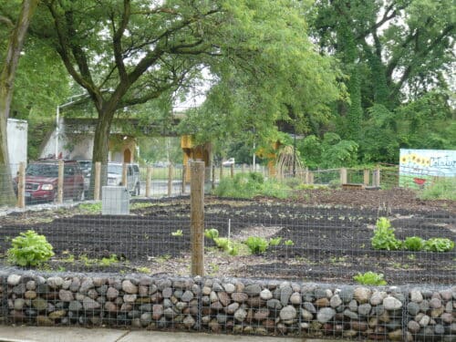 A view of the Sistas Garden in Chicago's Englewood neighborhood.