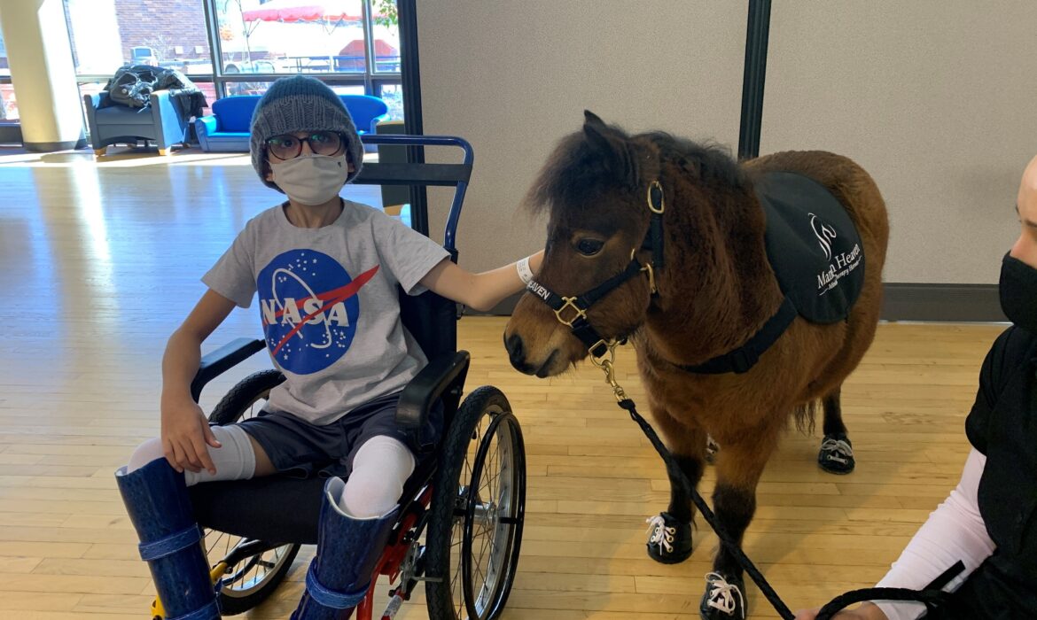 A child in a wheelchair, wearing a NASA tshirt, pets a brown miniature horse that is also wearing gym shoes.