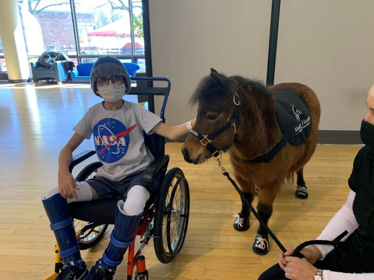 A child in a wheelchair, wearing a NASA tshirt, pets a brown miniature horse that is also wearing gym shoes.