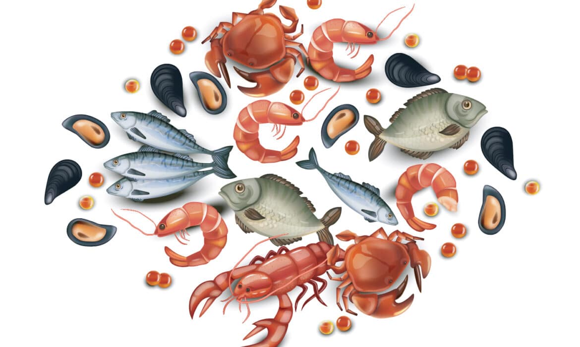 Illustration of a variety of seafood