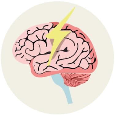 brain icon