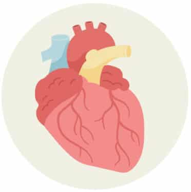 heart icon