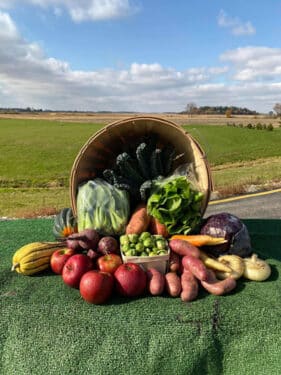 Nichols Farm & Orchard produce in a bushel basket