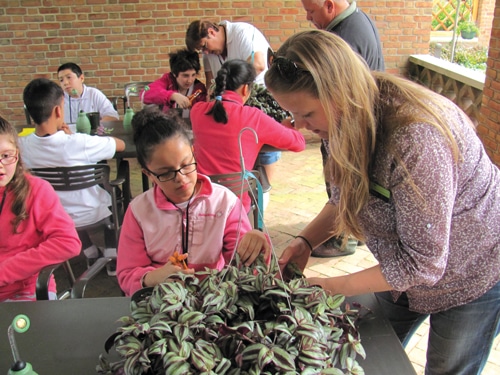 Horticultural therapy at the Chicago Botanic Garden with Alicia Green